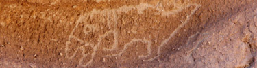 Macaw Petroglyh at Long House